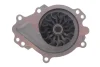Комплект ГРМ + помпа Hyundai Tucson/i30/i40/Kona/ KIA Ceed/Sportage IV/Stonic/Optima 1.6CRDI 17- INA 530 0840 30 (фото 10)