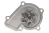 Помпа води Ford Maverick 2.4i 93-98/Nissan Terrano 2.4 93-07 INA 538 0509 10 (фото 4)