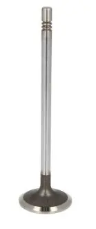 Клапан выпускной 3,0JTD 16V 32,4x6x119,95 IVECO 504081062