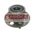 Подшипник ступицы KAMOKA 5500036 (фото 1)