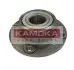 Ступица колеса KAMOKA 5500042 (фото 1)