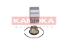 Пiдшипник ступицi KAMOKA 5600017 (фото 2)