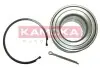 Подшипник ступицы KAMOKA 5600037 (фото 1)