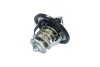 Термостат HYUNDAI ACCENT 95-10/KIA CARENS 04-/RIO 05- KAMOKA 7710098 (фото 1)