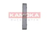 Фiльтр салону вугiльний KAMOKA F505901 (фото 1)