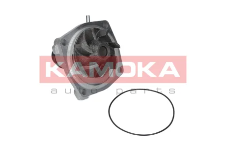 Помпа води KAMOKA T0006