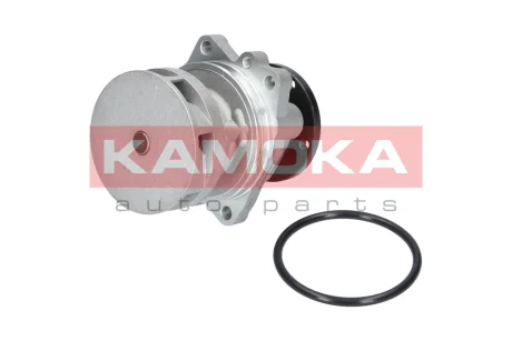 Помпа води KAMOKA T0059
