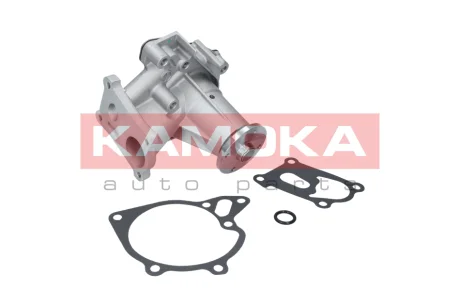 Насос воды KAMOKA T0161