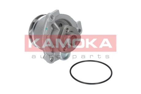 Помпа води KAMOKA T0234