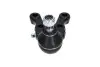 Кульова опора (шарнір) PARTS KAVO SBJ-5506 (фото 3)