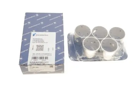 Вкладиші KOLBENSCHMIDT 77291690