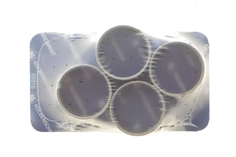 Втулка шатуна KOLBENSCHMIDT 87355693