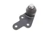 Шарова опора прав (нижн пер) (Ø 21mm) FORD KUGA I, KUGA II 2.0D/2.5 02.08- LEMFORDER 37886 01 (фото 2)