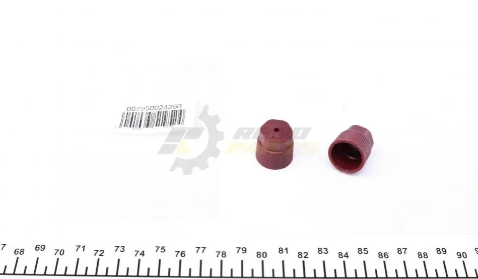 Захисні ковпачки MAGNETI MARELLI 007950024250 (фото 1)