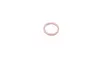 Уплотнительное кольцо (O-ring) Renault (5 шт.) MAGNETI MARELLI 007950024400 (фото 3)
