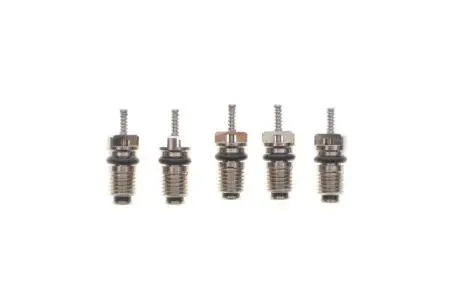 Комплект заправочных клапанов (21,55x7mm) (5 шт.) MAGNETI MARELLI 007950024440