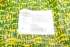 Механізм склоочисника (трапеція) MAGNETI MARELLI 064300334010 (фото 2)