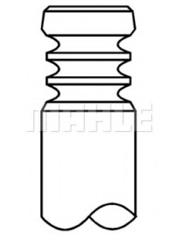 Клапан двигателя MAHLE / KNECHT 029 VA 31101 100 (фото 1)