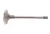 Клапан двигателя MAHLE / KNECHT 029 VE 30900 000 (фото 1)