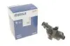 Термостат MAHLE TM 3100 MAHLE / KNECHT TM 3 100 (фото 1)