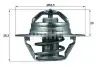 Термостат MAHLE / KNECHT TX 88 88D (фото 1)