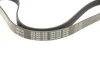 Ремень генератора поликлиновый MEYLE 050 006 1250 (фото 3)