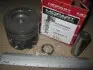 Поршень Audi 81.5 2.5TDI AAT/ABP/AEL 1-2CYL MOPART 102-90840.11 (фото 2)
