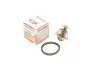 Термостат Hyundai Accent/Santa FE/KIA Sportage/RIO 95-(85 C) (jiggle-pin) MOTORAD 233-85JK (фото 1)