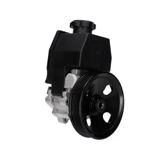 Насос гідропідсилювача Ssangyong Actyon, Ssangyong Kyron, Ssangyong 2.0 Xdi 04-19 MSG SS002