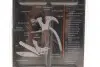 Мультиінструмент 13in1 (мультитул) NEO TOOLS 63-113 (фото 2)