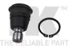 Шаровая опора передняя нижняя Nissan Qashqai / Renault Koleos 1.5dCi-3.5 08.03- NK 5042243 (фото 1)
