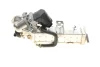 Радиатор рециркуляции выхлопних газов с клапаном EGR BMW 3 (F30)/5 (F10) 09-18 (N47/B47/N57) NRF 48451 (фото 6)