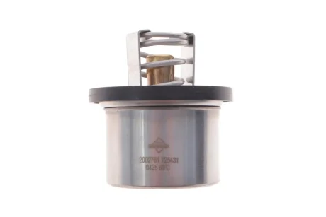 Термостат Porsche Cayenne 3.6/4.8 07-10 (89°C) NRF 725431