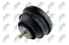 Подушка двигателя NTY ZPS-BM-002 (фото 2)
