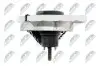 Подушка двигуна NTY ZPS-RE-051 (фото 4)