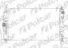 Радиатор охлаждения Polcar 250808-1 (фото 1)