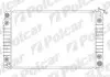 Радіатор охолодження Polcar 253008-3 (фото 1)