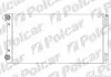 Радиатор охлаждения Polcar 302208A2 (фото 1)