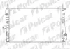 Радіатор охолодження Polcar 321808-3 (фото 1)