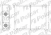 Радіатор обігріву Polcar 3250N8-1 (фото 1)