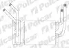 Радіатори обігріву Polcar 6003N8-1 (фото 1)