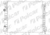 Радіатор охолодження Polcar 601508-4 (фото 1)
