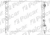 Радиатор охлаждения Polcar 602108A1 (фото 1)