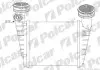 Радиатор воздуха (Интеркуллер) Polcar 9548J8-2 (фото 1)