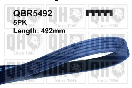Ремень клиновой QUINTON HAZELL QBR5492