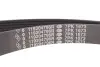 Комплект ремня дополнительного оборудования RENAULT 117200334R (фото 10)