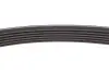 Комплект ременя додаткового обладнання RENAULT 117202495R (фото 6)