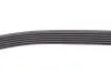 Комплект ремня генератора Renault Duster 1.5dCi 10- (6PK1178) RENAULT 117202506R (фото 6)