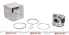 Поршень двигателя RENAULT 120A10282R (фото 1)