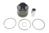 Поршень RENAULT 120A17699R (фото 1)